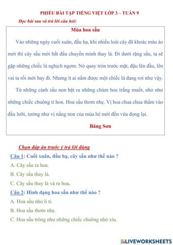 Tập đọc tuần 9