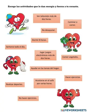 Sistema Circulatorio Saludable