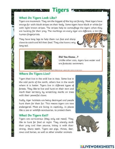 DIS English Term 1 Week 12 Lesson 3 and 4