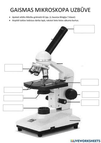 Mikroskops