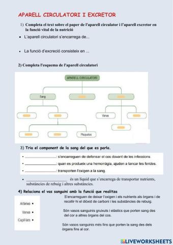 L'aparell circulatori i excretor