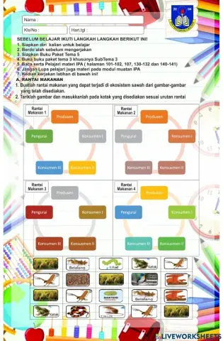 LKPD T5S3 Jaring makanan