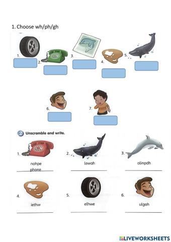 Phonics wh-ph-gh