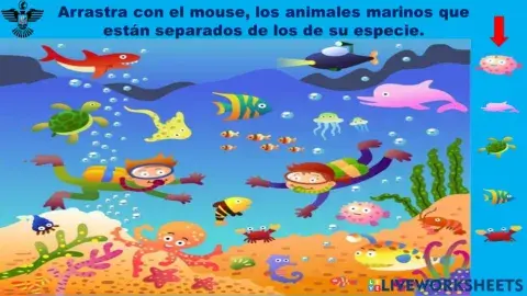 Animales marinos.