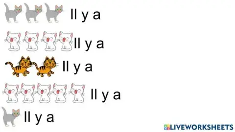 Image and numbers 01