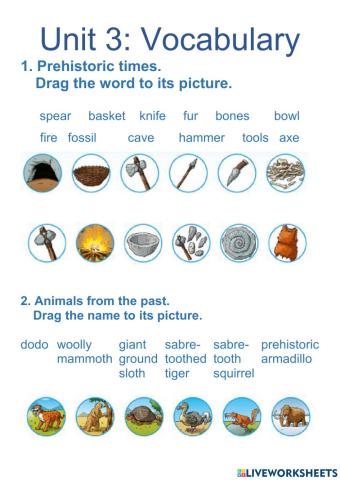 Prehistoric Times Vocabulary