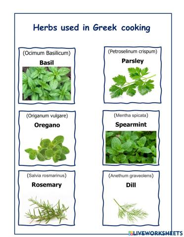 Herbs used in Greek cooking