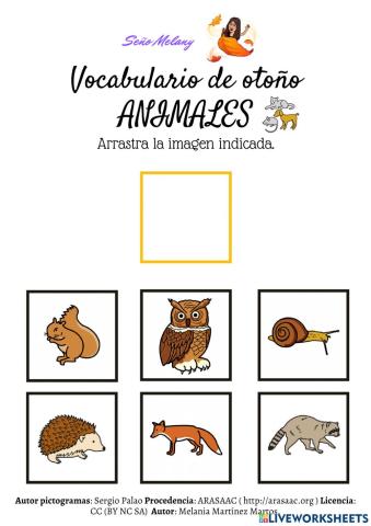 Vocabulario animales del otoño