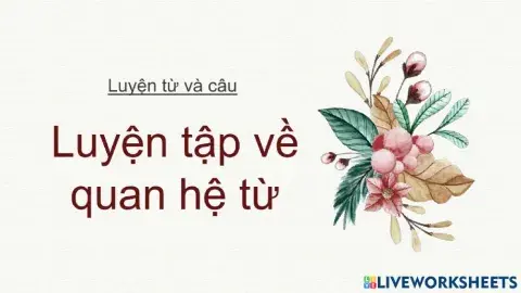 Luyện tập về quan hệ từ