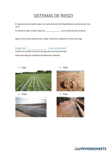 Sistemas de riego
