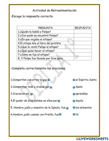 Actividad de Retroalimentación