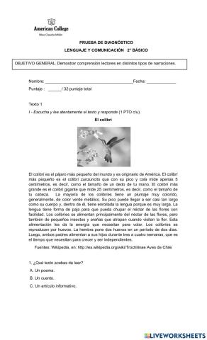 Comprensión lectora