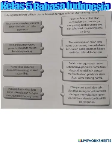 Bahasa Indonesia T5 St2