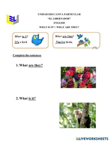 What is it? what are they?