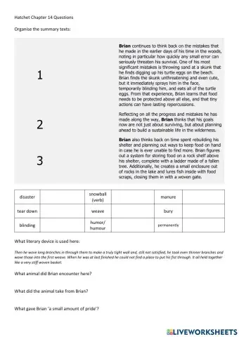 Hatchet Chapter 14 Questions