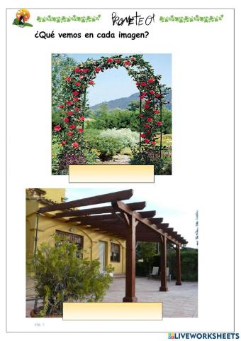 Elementos del jardin