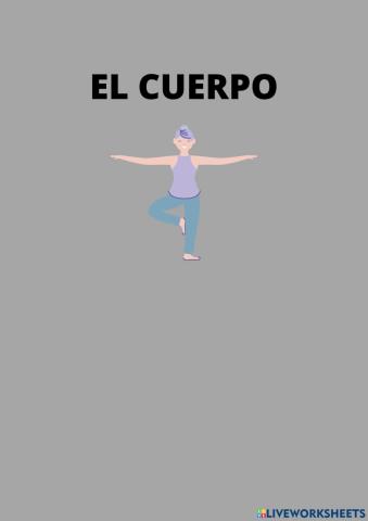 El cuerpo humano
