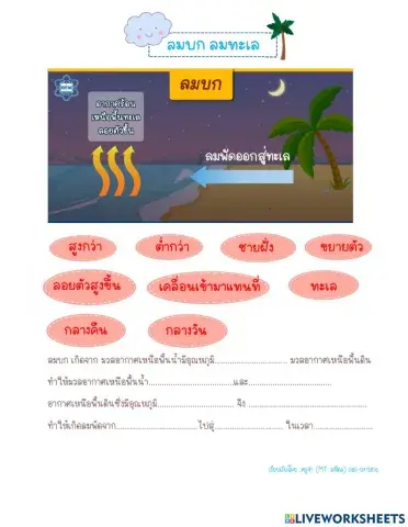 ลมบก ลมทะเล