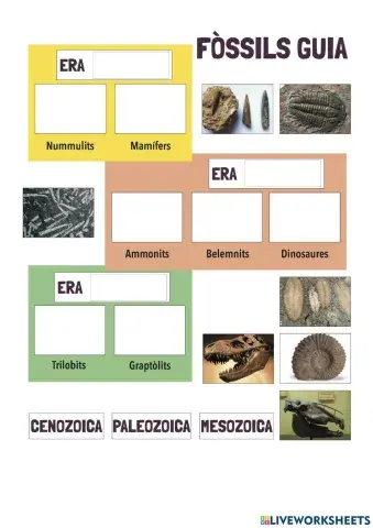 Fòssils guia