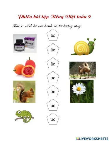 Tiếng việt 1 tuần 9