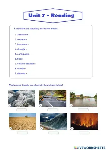 Unit 7 reading and vocabulary