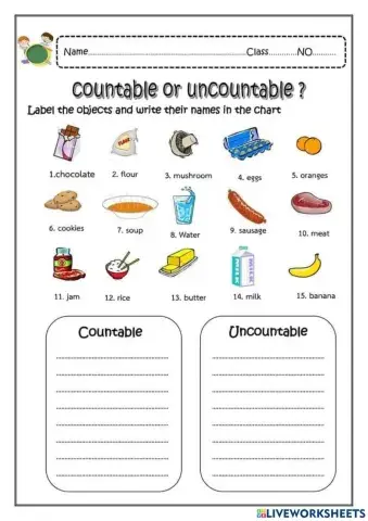 Countable nouns and uncountable nouns