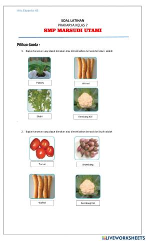 LKPD Prakarya Marsudi Utami