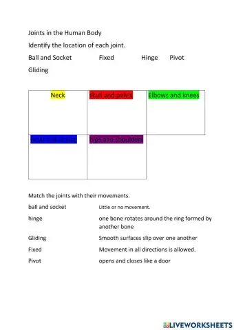 Joints in the human body