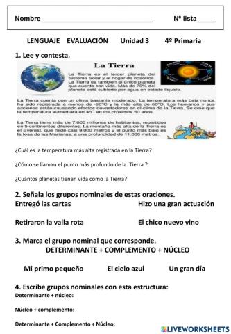 Examen Lengua 4º  Tema 3
