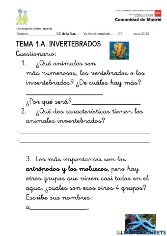 Invertebrados