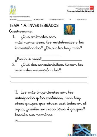 Invertebrados