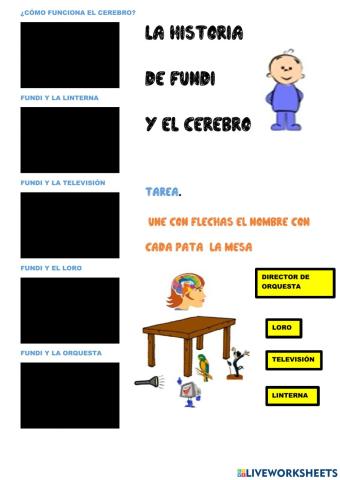 Cómo aprende el cerebro POR FUNDI