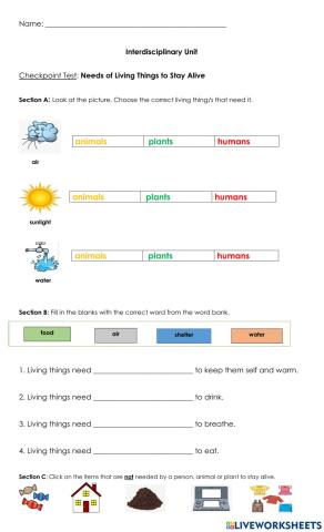 Needs of Living Things to Stay Alive