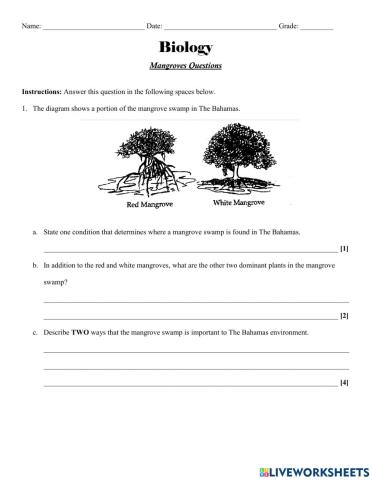 Mangrove Ecosystems Worksheet