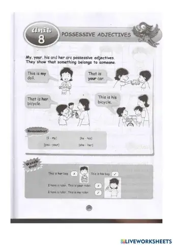 Possessive Adjectives