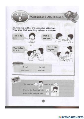 Possessive Adjectives