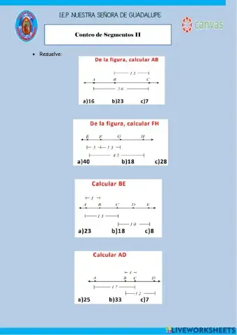 Conteo de Segmento II