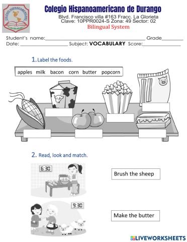 Vocabulary exam