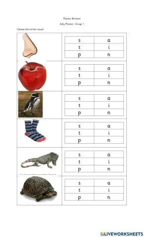 Jolly Phonics Group 1