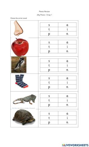 Jolly Phonics Group 1