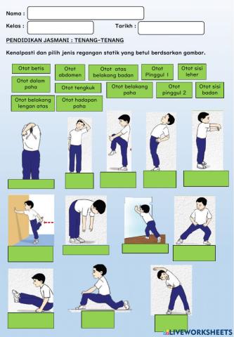 Senaman regangan statik