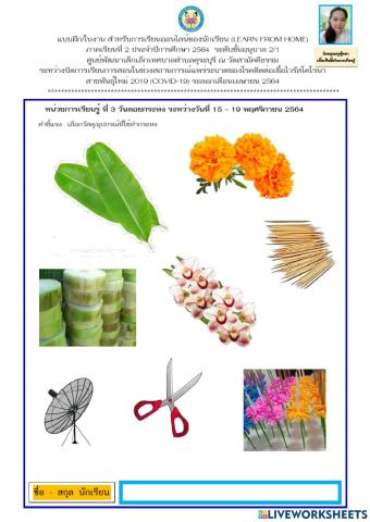 วันลอยกระทง