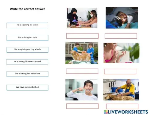 Causatives Have & Get. Services