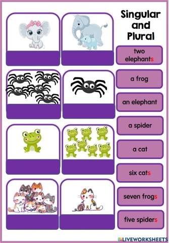 Singular and plural