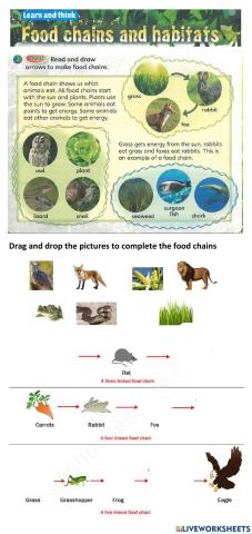 Food chain and habitats