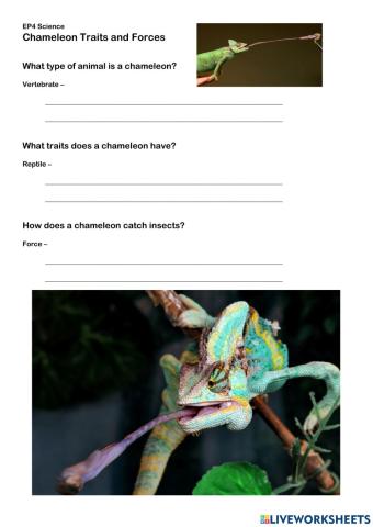 Chameleon traits and forces