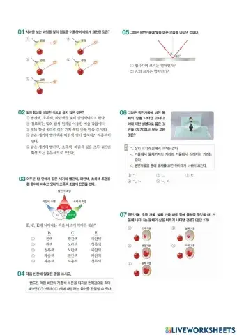 빛 온라인 수업