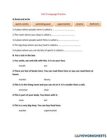 Unit 5 language practice