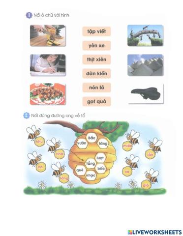 Bài tập Tiếng Việt