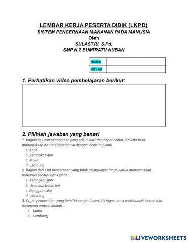 Sistem pencernaan manusia